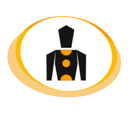 Piktogramm Wirbelsäulentherapie